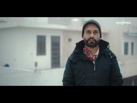 Syngenta RISQ Test | Grower Testimonial | Patiala - Punjab