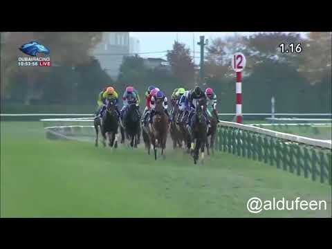 2017 Japan Cup G1 - win - Cheval Grand