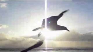 SYOR - Million Miles Away (Cherry)