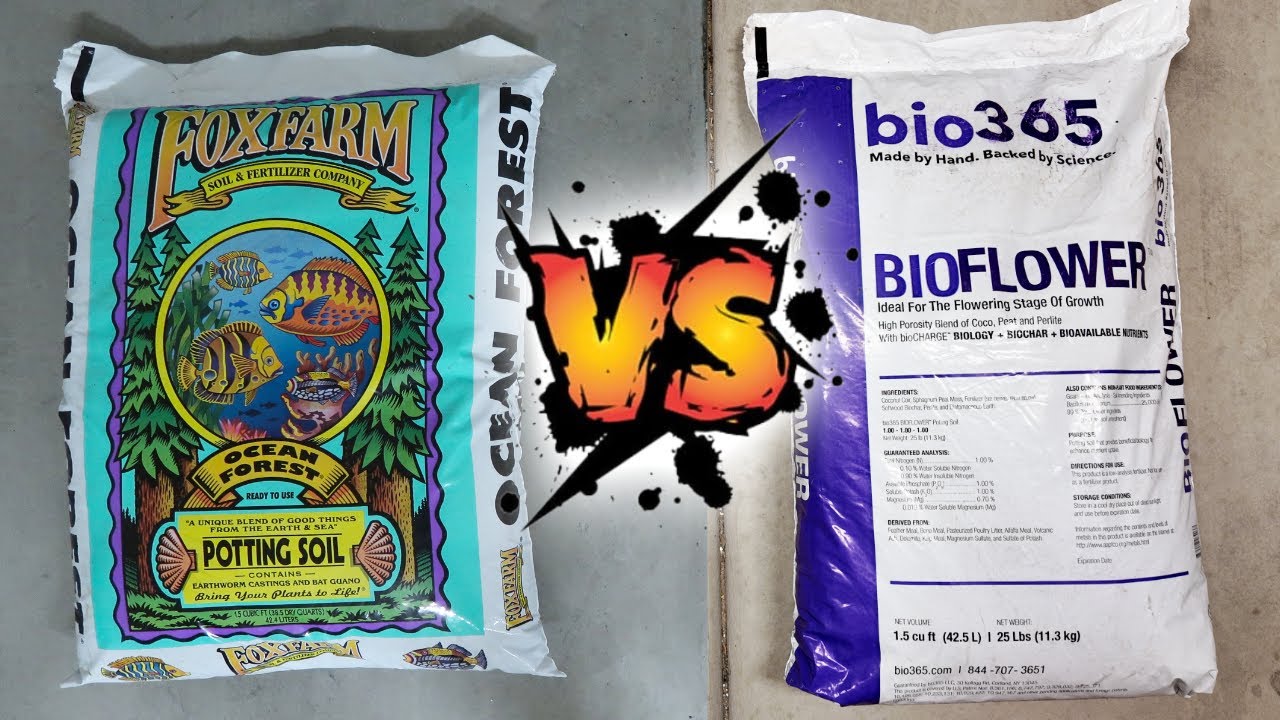 FoxFarm Ocean Forest vs BIOFLOWER Soil | Side-by-Side Test