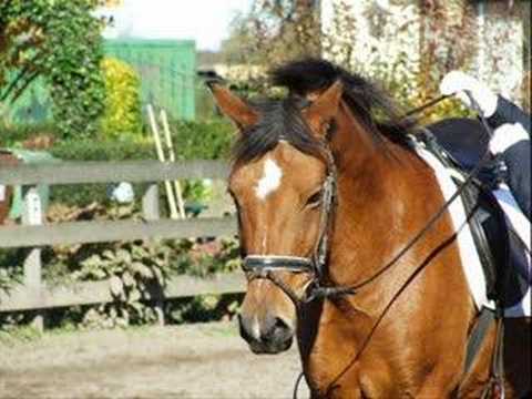 Juweel, Put Your Arms Around Me - N. Bedingfield