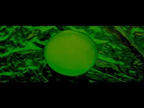 Al Lover - Static Snake Charmer (Official Video)