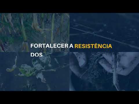 Terra-Sorb® complex