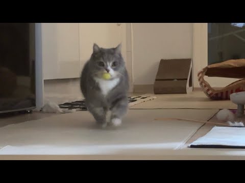 이거 내가 잡았어