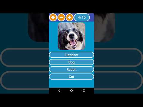 Animal Quiz Video