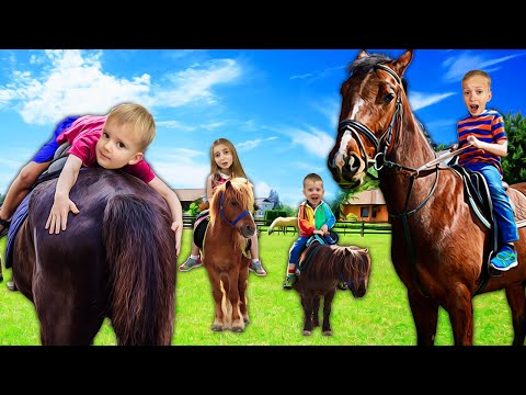 🏇 ÎNTRECERE dintre: CAL, PONEI, MĂGAR și ALPACA 🐴