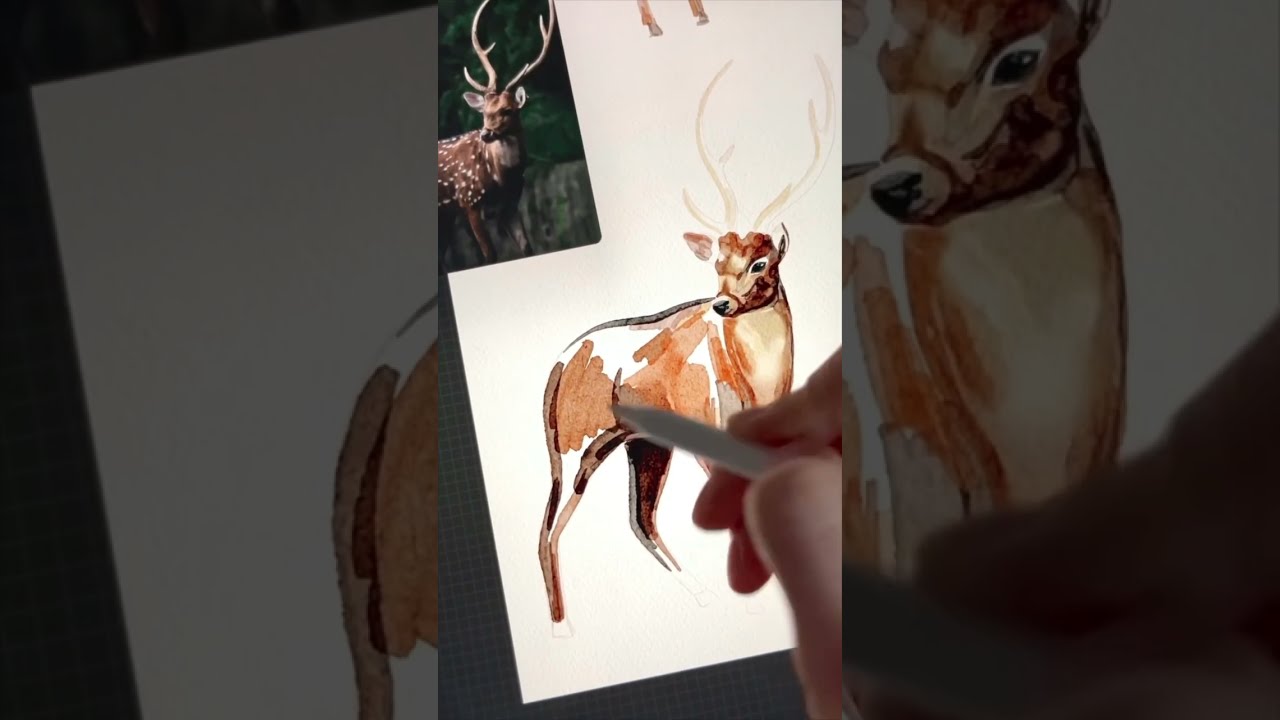 New realistic watercolor brushes for procreate