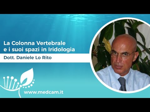 Lospedale dove ero hip 10 settimane di gravidanza, il mal di schiena