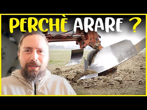 RISPOSTA a @MattTheFarmerOfficial PERCHÉ ARARE (o non lavorare) il TERRENO in AGRICOLTURA ?