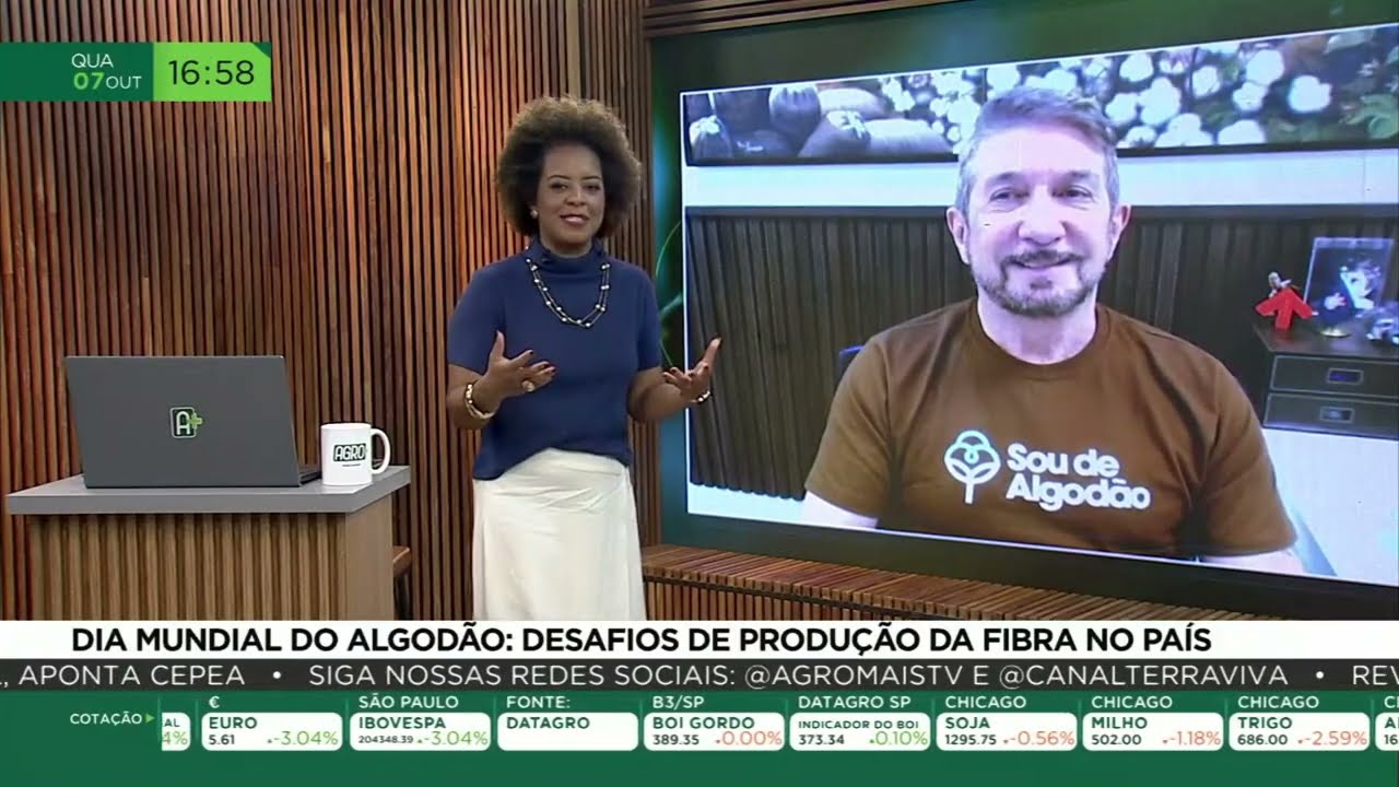 Dia Mundial do Algodão: desafios de produção da fibra no país