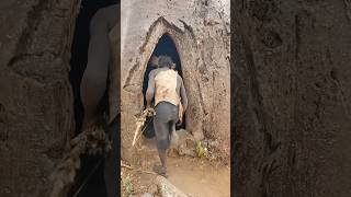 Download lagu “How do tribals meet their wifes?” #shortsvideo #shortvideo #shorts mp3