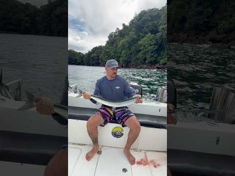 Pez aguja, Bahía Solano Pesca.