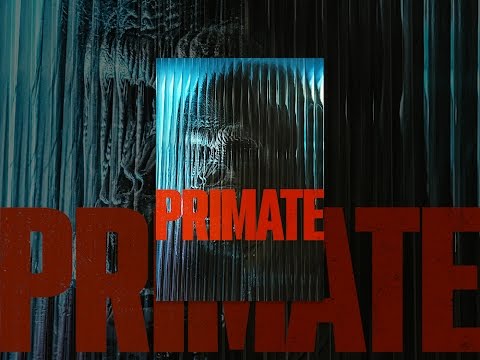 Primate
