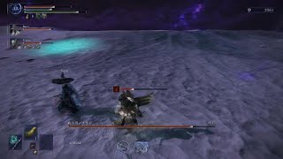 ELDEN RING NIGHTREIGN_常夜の王初見　ぐだぐだ