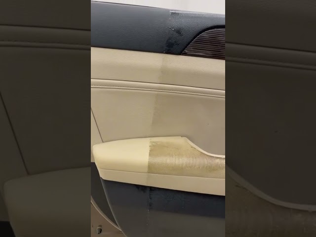 منظف لداخلية من بلوريبون