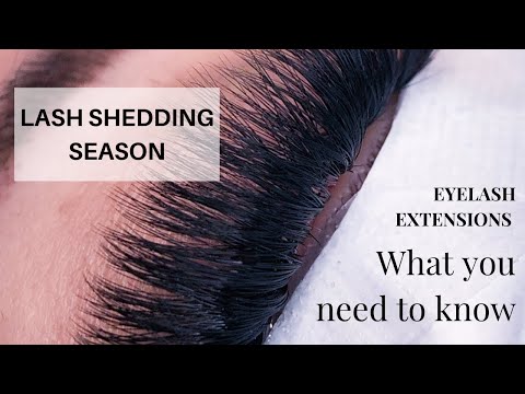 LASH SHEDDING SEASON | EYELASH EXTENSIONS 101| LASH TRAINING