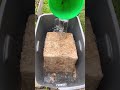 Sphagnum Moss #foragingfosters