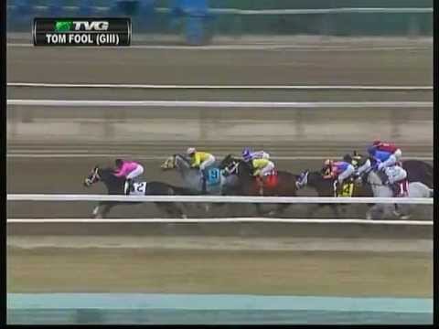 2013 Tom Fool Handicap - Comma To The Top