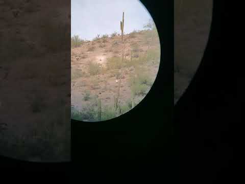 16 inch AR15 at 1005 yards part 2