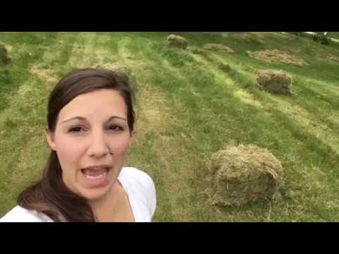 Baling Hay bales without a tractor or any equipment!