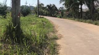 Large Flat Land Plot for Sale in Phang Nga, Only 5 Minutes from the Phuket Sarasin Bridge