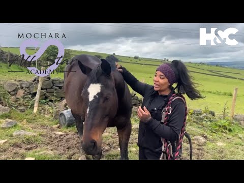 Elise Barnes: Mochara All Star Academy Season 5 - The Auditions | Horse & Country