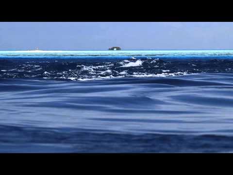 Gombessa II Expedition "The Grouper Mystery" - Episode 12