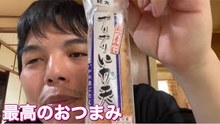 最近ハマってるおつまみプリプリいか天食べる