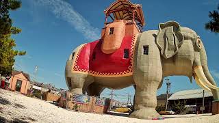 🔴 LIVE | Lucy the Elephant Cam — Margate, NJ live webcam