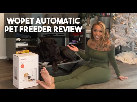 WOPET Automatic Pet Feeder With HD Camera Review #canecorso #dogreview #dogproduct #bigdog #Wopet