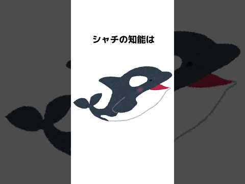 生物海洋学 - 定義