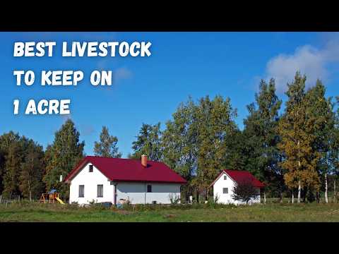 Best Livestock to Keep on 1 Acre