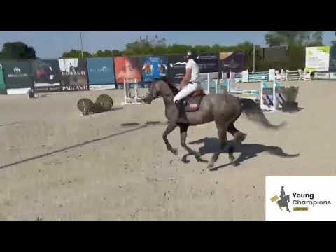 show video