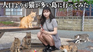 人口より猫が多い猫島に行ったら、想像以上に猫まみれだった...