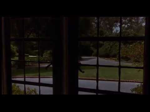 Film Ita] Stand by me, ricordo di un'estste- 1986- drammatico- di Rob Reiner- con Jerry O'Connell, W