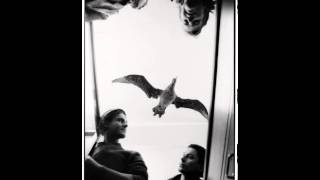 Little Hearts (Able Tasmans)