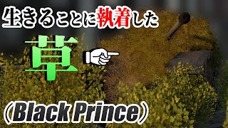 【WT/PS5】新ゆっくり戦車道はじめます！【Black Prince】2両目