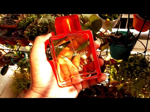 Mandarina Duck For Man Fragrance Review (2006)