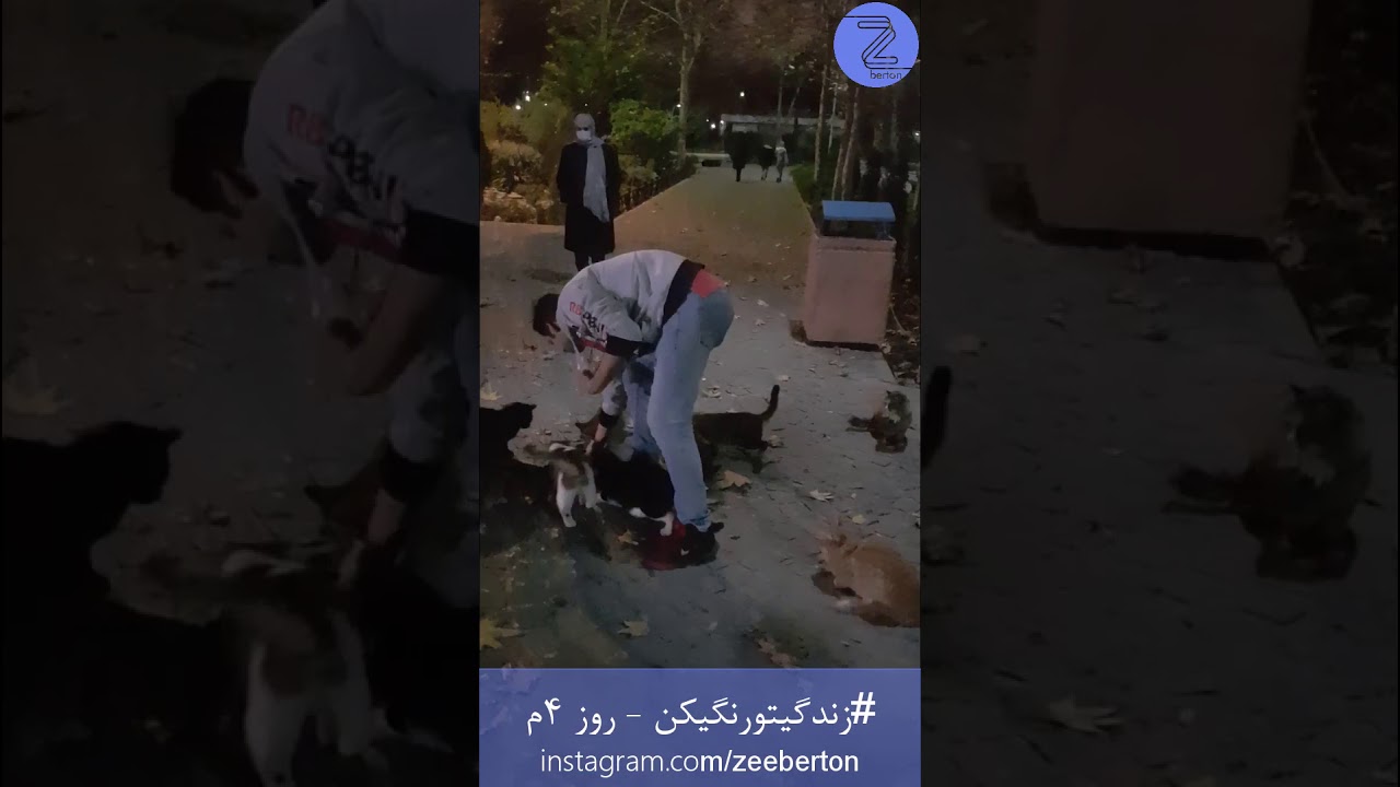 Day 4 - #ColorUpYourLife