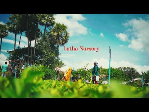 Latha Nursery – Premium Taiwan Pink Guava Plants | Profitable Farming Guide