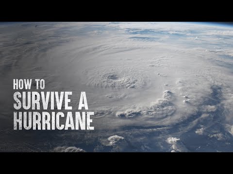 How to Survive a Hurricane, According to Science