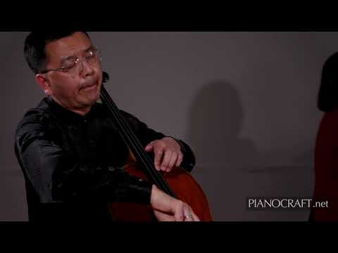 Saint-Saëns: The Swan (Cello and Piano) - Bo Li & Hai Jin