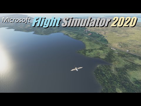 Microsoft Flight Simulator 2020: Seagulls and Geese!