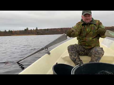 Lintujahtiin valmistautumista ja verkkojen kokemista