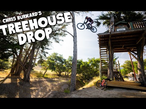 THE TREE HOUSE DROP