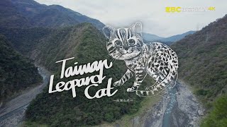 [問卦] 40歲沒技能辭職，還能學什麼？