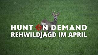EINMAL FÜR DIE KÜHLTRUHE 🌿 Auf Schmalreh im April von PK Productions