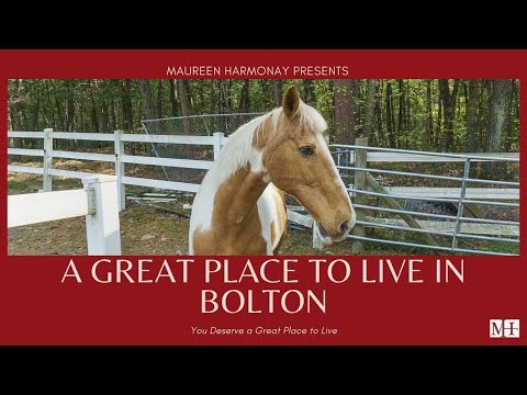 Bolton MA Homes for Sale: 75 Spectacle Hill Road