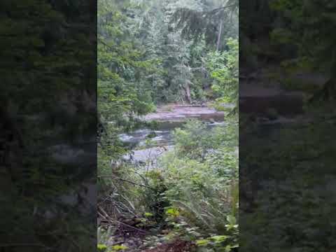 A view of the Santiam River!