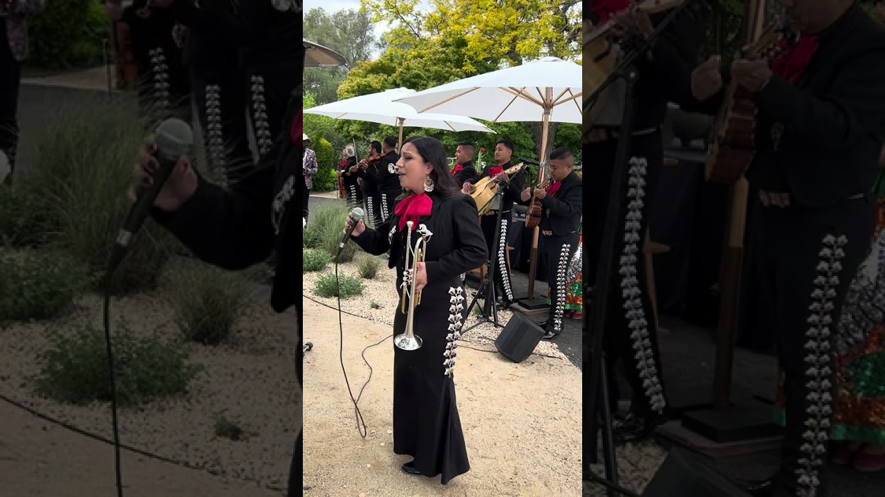 Promotional video thumbnail 3 for Folklorico Revolucion